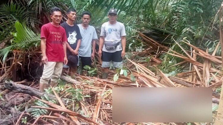 Terkait Kematian Operator PLTD di Mentawai, Ini Kata Polisi 1 TEKS FOTO: Penemuan mayat di di ladang sagu di Desa Saliguma, Kecamatan Siberut Tengah, Kabupaten Kepulauan Mentawai, Sumatera Barat (Sumbar) pada Jumat (28/4/2023) pagi. (Foto: Dok. Istimewa)