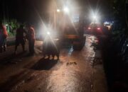 Banjir Rendam 15 Hektare Lahan Sawah di Sipisang Agam