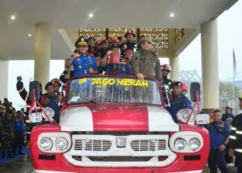 Damkar Solok Evakuasi Sarang Tawon di Permukiman Warga