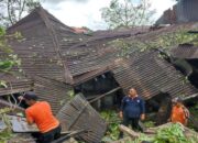 Pohon Tumbang Timpa Satu Rumah Warga di Agam