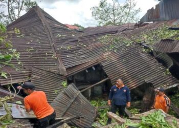 Pohon Tumbang Timpa Satu Rumah Warga di Agam