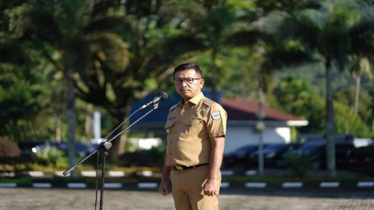 Bupati Solok Selatan Khairunas. Antara/HO/Kominfo