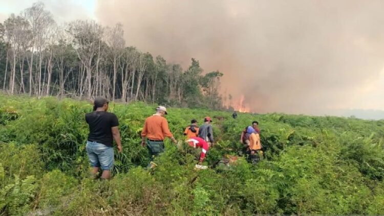 Kebakaran lahan akibat cuaca panas di Sumbar. (ANTARA/HO-BPBD Pesisir Selatan)