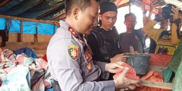 Tim Gabungan Tindak Aktifitas Tambang Emas Ilegal di Tombang Pasbar 8 Tim Gabungan Tindak Aktifitas Tambang Emas Ilegal di Tombang Pasbar