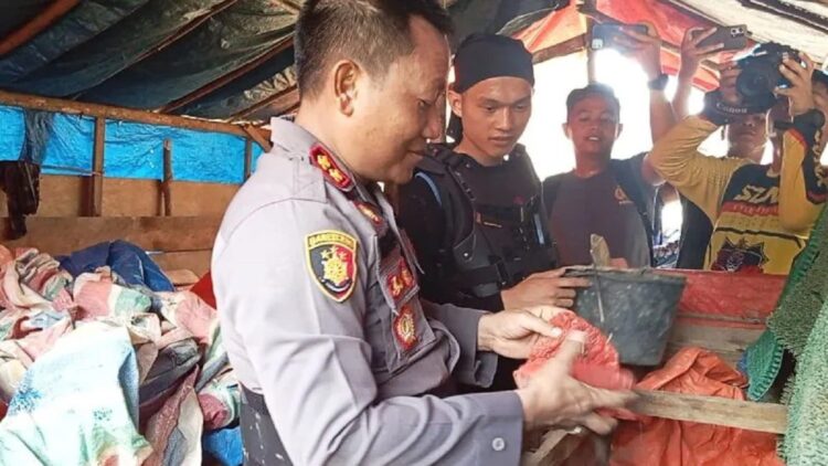Kapolres Pasaman Barat AKBP Agung Basuki saat memeriksa isi pondok para penambang emas tanpa izin di Tombang Hilir Kecamatan Talamau dalam penertiban yang dilakukan Selasa (23/5). (Antara/Altas Maulana).