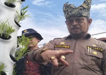 Buka Penas Tani di Padang, Presiden Jokowi Rencananya Lepas Benih Varietas Inpago 14 Buka Penas Tani di Padang, Presiden Jokowi Rencananya Lepas Benih Varietas Inpago