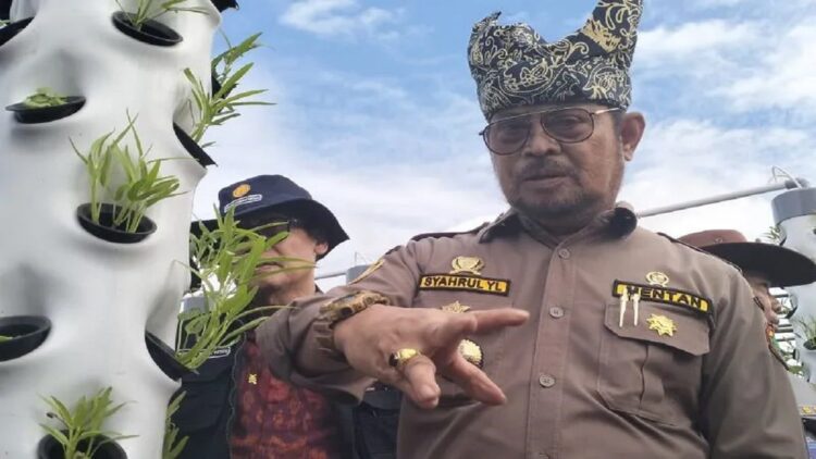 Menteri Pertanian (Mentan) Syahrul Yasin Limpo saat mengunjungi lokasi gelar percontohan pertanian di kawasan Lapangan Udara (Lanud) Sutan Sjahrir, Kota Padang, Selasa, (30/5). ANTARA/Muhammad Zulfikar.