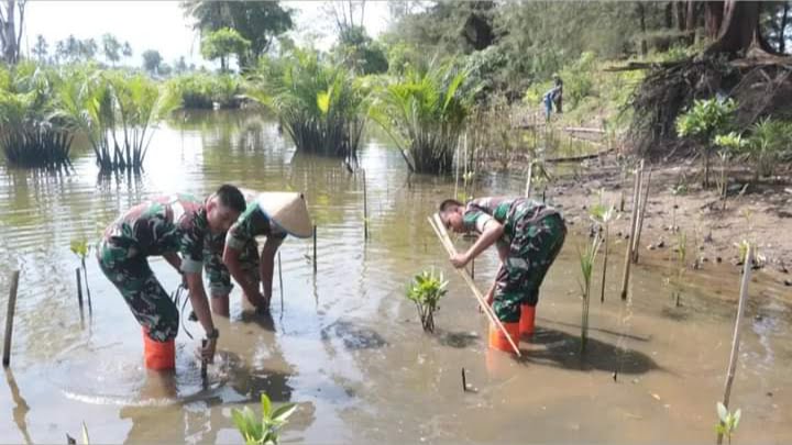 Antisipasi Abrasi Pantai, Lanud Sut Tanam 1.500 Bibit Mangrove di Pasia Nan Tigo Padang 1 IMG 20230504 082241