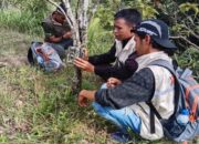 Gunakan Bunyi-bunyian, BKSDA Halau Satwa Liar yang Mangsa Ternak Warga Agam