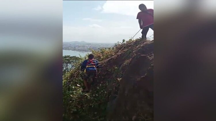 Petugas membersihkan rumput dan semak belukar dari atas Bukit Padang. (Foto: Dok. Istimewa)