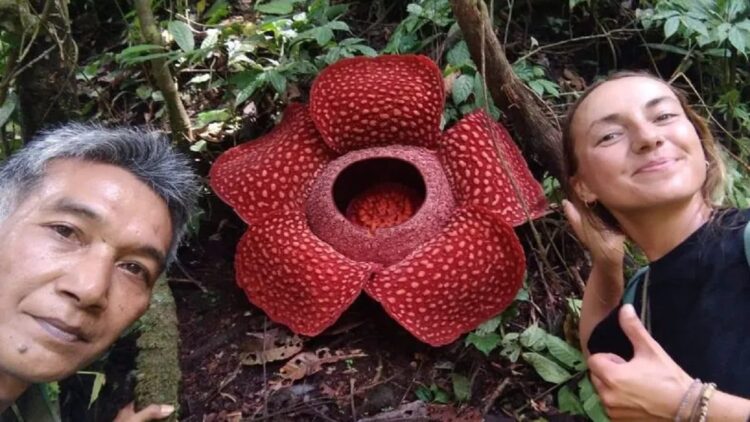 Pegiat wisata Batang Palupuh Agam Joni Hartono bersama dengan wisatawan dari mancanegara. (Antara/HO-Dok Pribadi)