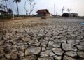 Sejumlah Wilayah Diprediksi Alami Kekeringan Ekstrem Akibat El Nino 3 ilustrasi dampak el nino. (Dok. Istimewa)