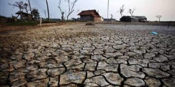 Kemenkes: Waspadai Dampak El Nino yang Picu Kasus Dengue 8 ilustrasi dampak el nino. (Dok. Istimewa)