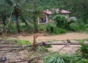 Tanah Longsor di Aie Luo Solok Hantam Rumah dan Perkebunan Warga