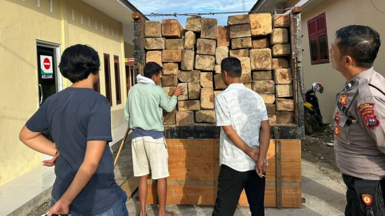 Puluhan batang kayu dari hutan lindung disita petugas dari tiga pelaku. (Foto: Dok. Polres Padang Pariaman)
