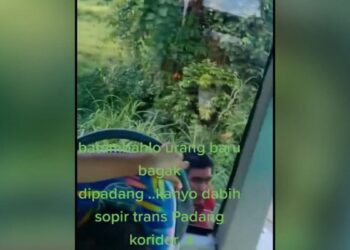 Ribut-ribut pengendara mobil dengan salah satu bus Trans Padang koridor 4. (Foto: Dok. TikTok/@lisdayeni1)