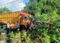 Pohon tumbang usai dihantam truk di kawasan Korong Gadang, Kecamatan Kuranji pada Senin (22/5/2023) sore. (Foto: Dok. Pusdalops PB)