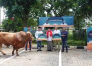 Telkomsel Salurkan 720 Hewan Kurban di Momen Iduladha 1444 H
