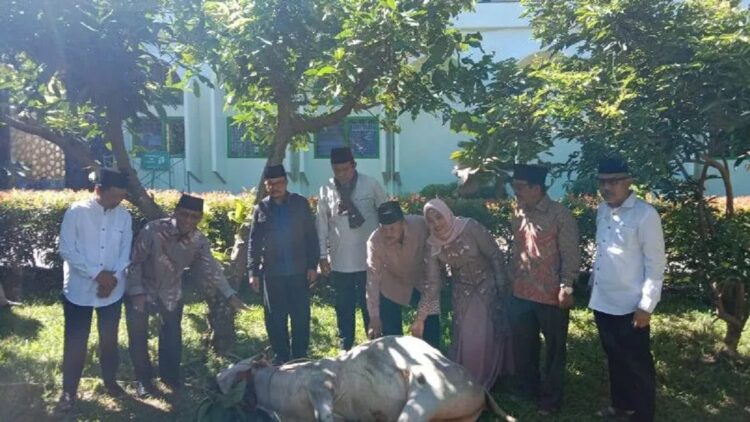 Bupati Agam Andri Warman menyaksikan pemotongan hewan kurban di Masjid Agung Nurul Falah Lubuk Basung, Kamis (29/6). (Dok. Antara/Yusrizal)