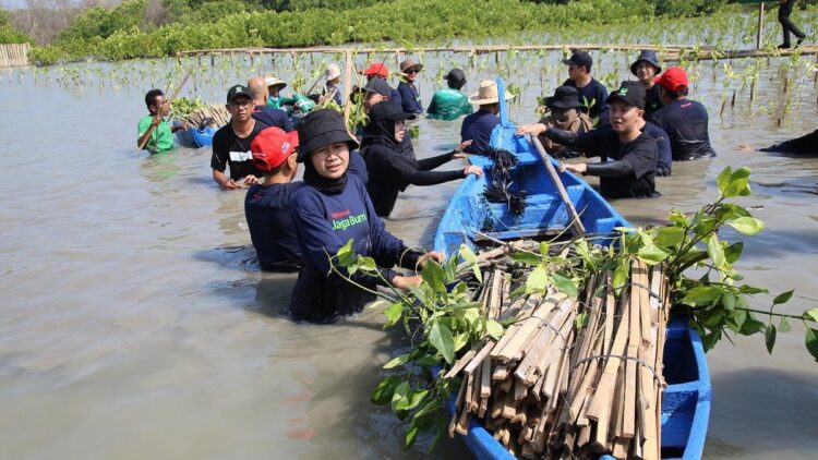 Telkomsel bersama Jejak.in Dukung Upaya Reboisasi Hutan Mangrove di Indonesia 1 Telkomsel bersama Jejak.in melakukan penanaman pohon mangrove yang turut dihadiri oleh perwakilan pelanggan, komunitas lokal dan warga Desa Bedono, serta employee volunteer dari Telkomsel di Mangrove Bedono Demak, Selasa (13/6/2023). (dok. istimewa)