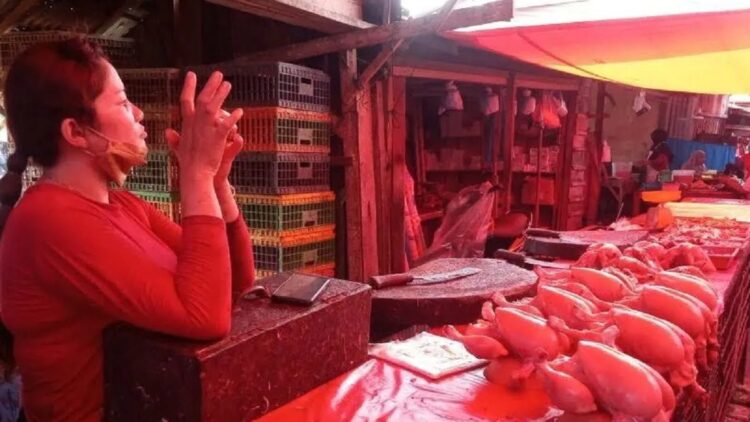 Pedagang ayam broiler Pasar Serikat Lubukbasung dan Garagahan. Dok Antara/Yusrizal