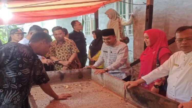 Oven Pengering Pinang Milik Warga Pasaman Masuk Lima Besar Nasional Lomba TTG 1 Wali Nagari Panti Selatan, Didi Al Amin saat melakukan pembinaan terhadap Posyantek milik Yuhandi (Ist)
