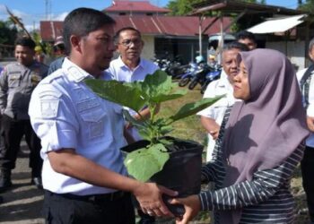 Pemko Sawahlunto Sediakan Bibit untuk Berdayakan Lahan Pekarangan Warga agar Produktif