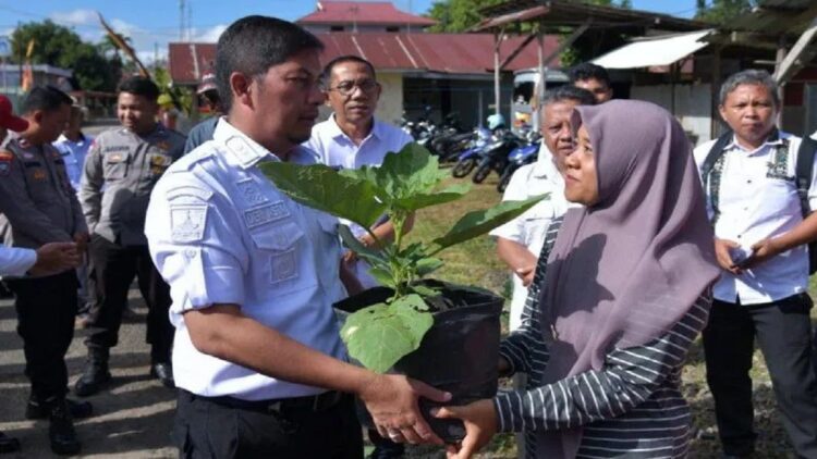 Pemko Sawahlunto Sediakan Bibit untuk Berdayakan Lahan Pekarangan Warga agar Produktif 1 Wali Kota Sawahlunto Deri Asta serahkan bantuan benih sayuran untuk kader PKK, agar ditanam di lahan pekarangan, Rabu. (ANTARA/Yudha Ahada/23)