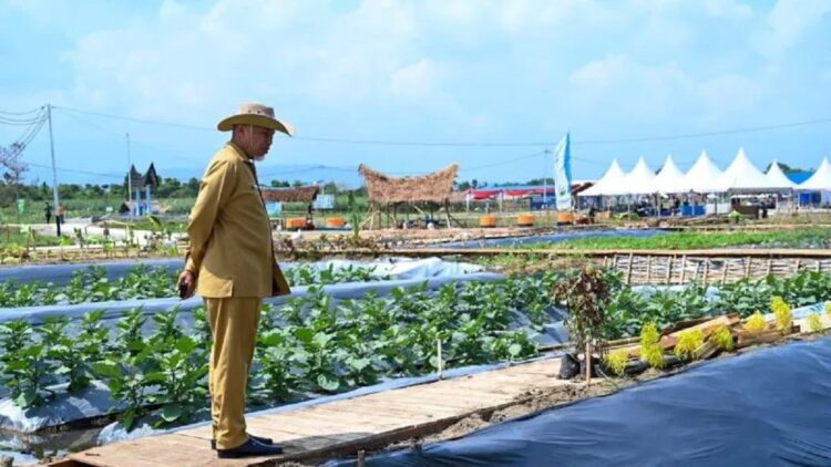 Penas Tani Momentum Petani Milenial Tingkatkan Wawasan dan Jaringan 1 Gubernur Sumbar, Mahyeldi tinjau venue Penas Tani XVI. (ANTARA/Dok Adpim Sumbar)