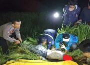 Seorang Petani di Agam Ditemukan Tewas di Sawah, Jasad sudah Membusuk