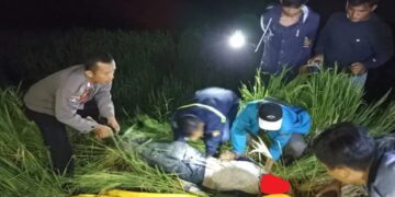 Seorang Petani di Agam Ditemukan Tewas di Sawah, Jasad sudah Membusuk