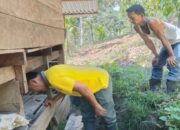 Keberadaan Satwa Liar Ditemukan di Palembayan Agam, Tiga Ekor Anjing Mati Dimangsa