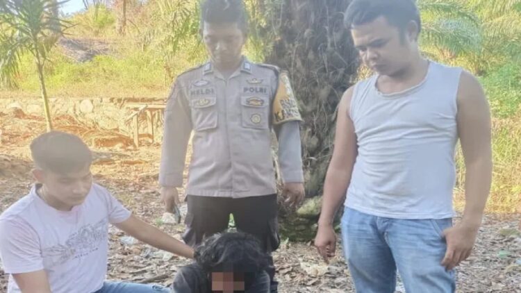 Jajaran Polsek Sungai Beremas Polres Pasaman Barat saat menangkap salah satu bandar narkotika jenis sabu di Sungai Beremas. Di hari yang sama dua orang bandar berhasil ditangkap. (Antara/HO-Humas Polres).
