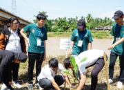 Puluhan Mahasiswa Asing Tanam 1.000 Pohon di Sungai Batanghari Dharmasraya