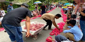 Manampuang, Tradisi Unik di Sitingkai Agam saat Pembagian Daging Kurban