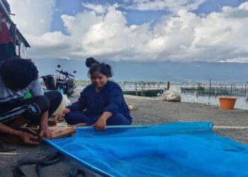 Ikan Rinuak di Danau Maninjau Langka, Diduga Gegara Ini