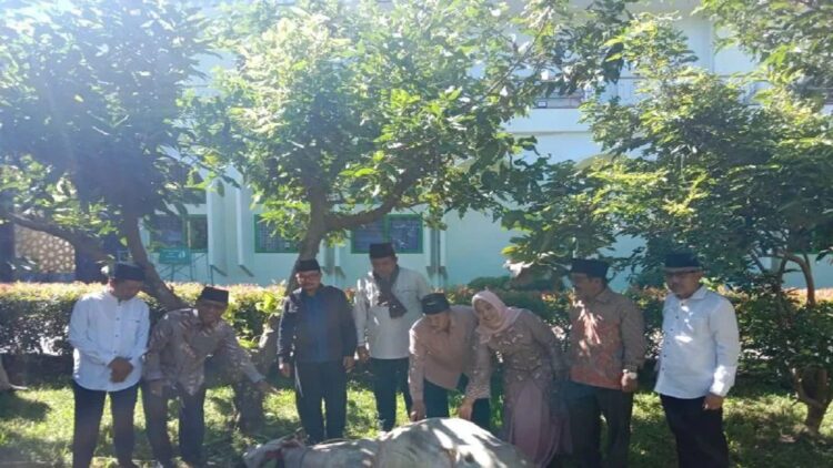 Bupati Agam Andri Warman sedang menyaksikan penyemblihan hewan kurban di Masjid Agung Nurul Falah. Dok Antara/Yusrizal