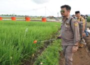 Sumbar Alokasikan Rp100 Miliar untuk Sukseskan Penas Tani Nelayan XVI