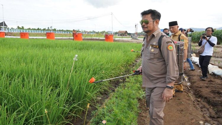 Sumbar Alokasikan Rp100 Miliar untuk Sukseskan Penas Tani Nelayan XVI 1 Mentan Syahrul Yasin Limpo saat mengecek kesiapan venue Penas Tani. (Dok. Infopublik)