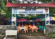 Dinilai Memprihatinkan, Pusat Kuliner Pujasera Pantai Padang bakal Ditata Ulang