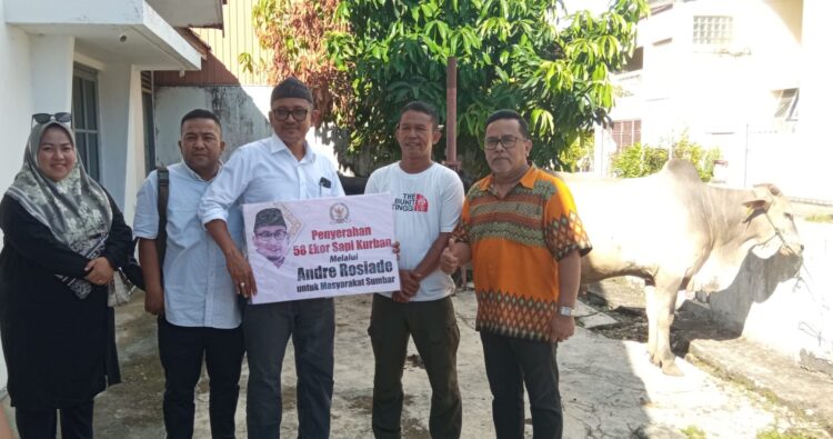Penyerahan 58 ekor sapi kurban anggota DPR RI Andre Rosiade secara simbolis di Rumah Singgah Andre Rosiade di Kelurahan Jati Baru, Padang Timur, Kota Padang, Selasa (27/6/2023). (Foto: Adiyansyah Lubis/radarsumbar.com)