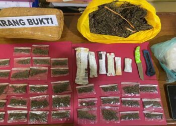 Pengedar Ganja di Pessel Diciduk Polisi, 42 Paket Diamankan 10 Barang bukti narkoba yang disita polisi dari seorang pemuda di kawasan Airpura. (Foto: Dok. Polres Pessel)