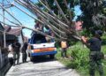 Pohon tumbang di kawasan Perumdam 4 pada Sabtu (17/6/2023) siang. (Foto: Dok. BPBD Kota Padang)