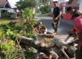 BPBD Padang Bersihkan Pohon yang Hambat Akses Jalan Masyarakat 7 Pembersihan dan evakuasi pohon tumbang di kawasan Kuranji, Kota Padang pada Sabtu (29/7/2023) siang. (Foto: Dok. Pusdalops PB)