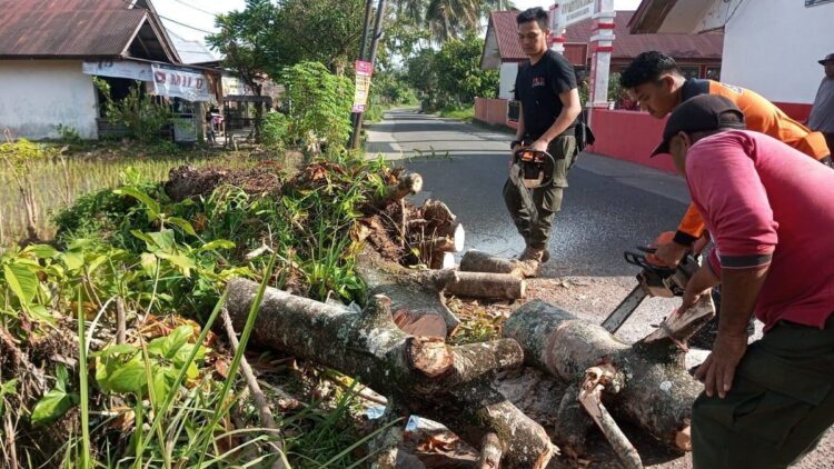BPBD Padang Bersihkan Pohon yang Hambat Akses Jalan Masyarakat 1 Pembersihan dan evakuasi pohon tumbang di kawasan Kuranji, Kota Padang pada Sabtu (29/7/2023) siang. (Foto: Dok. Pusdalops PB)