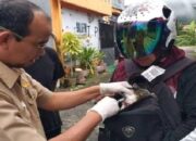 Waspadai Rabies pada Hewan, Pemko Padangpanjang Adakan Vaksinasi Massal