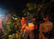 Hujan Deras dan Angin Kencang, BPBD Padang Minta Warga Siaga Banjir hingga Pohon Tumbang