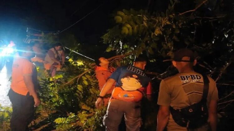 Personel BPBD Padang membersihkan material pohon tumbang yang terjadi di kota setempat. ANTARA/HO-BPBD Padang