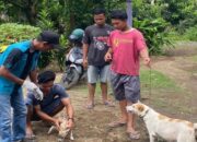 26 Kasus Rabies Terjadi di Pasbar, Seorang Bayi Dilaporkan Meninggal Dunia