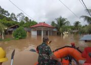 BNPB: Bencana Hidrometeorologi Basah Landa Tiga Daerah di Sumbar, 2 Warga Dilaporkan Hilang